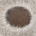 Solid Color Angora French Beret Furry Artist Flat Winter Hat